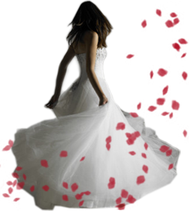 Your Wedding Day is Priceless